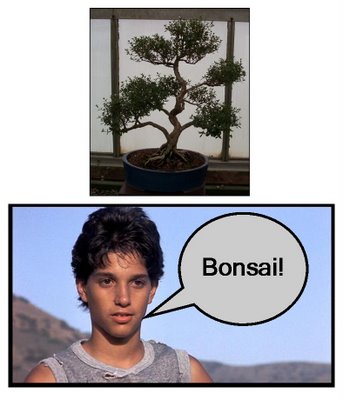 machio.jpg